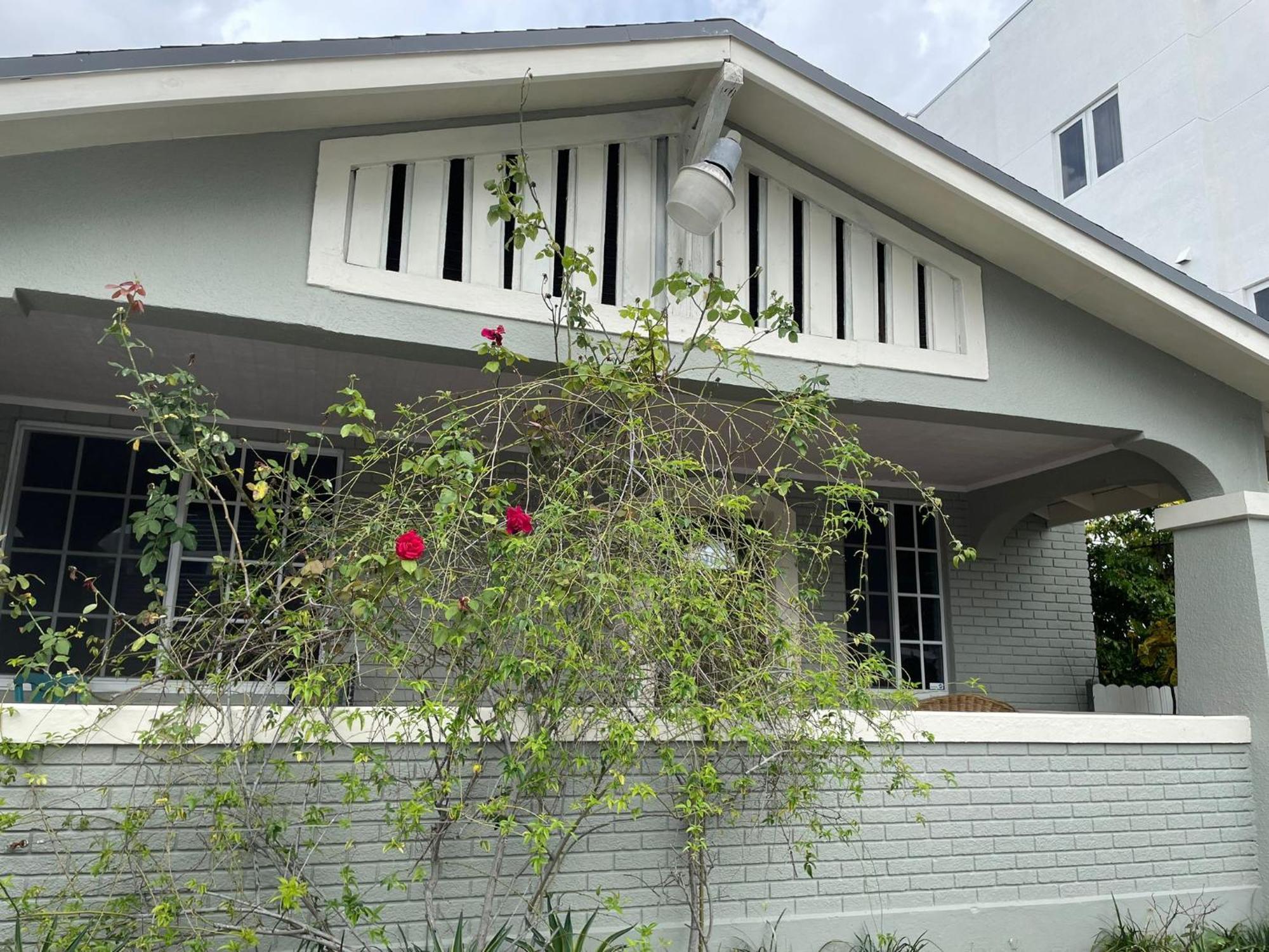 Cozy In The Heart Of Little Havana Privatunterkunft Miami
